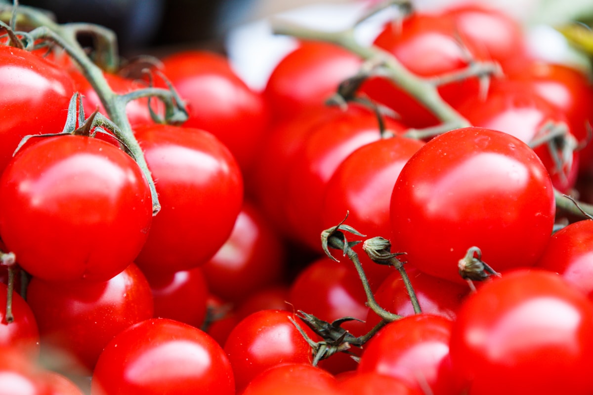 Prostate health nutrition guide