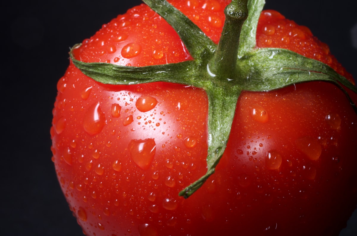 Scientific research on nutrition and wellness